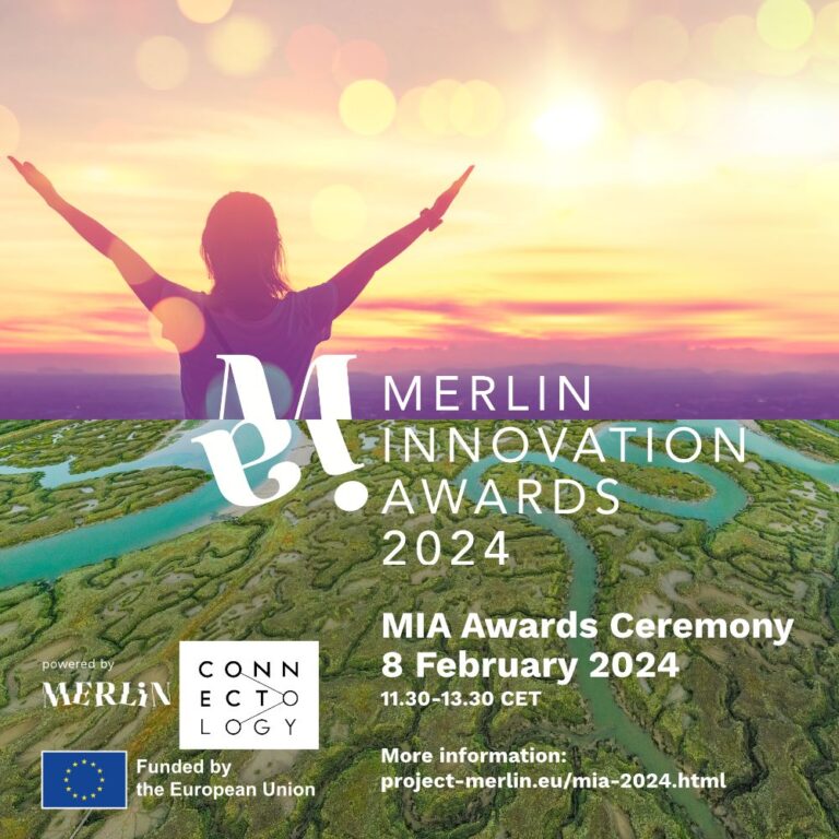 Pályázati felhívás - MERLIN innovációs díjak (MIA)