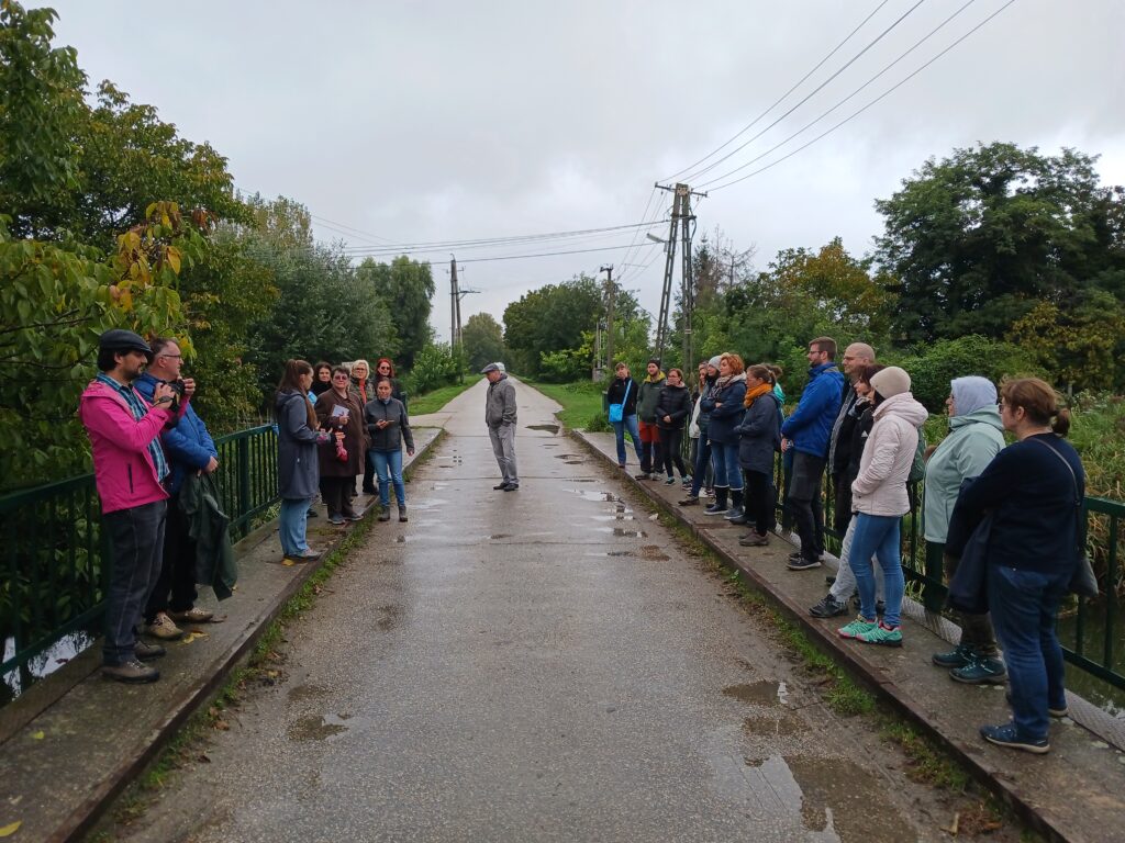 7. fotó Györgyi Ambró Gergő