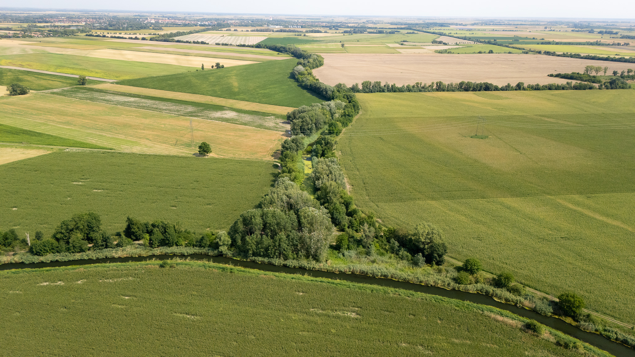 DJI 20250807103310 0002 D (1)