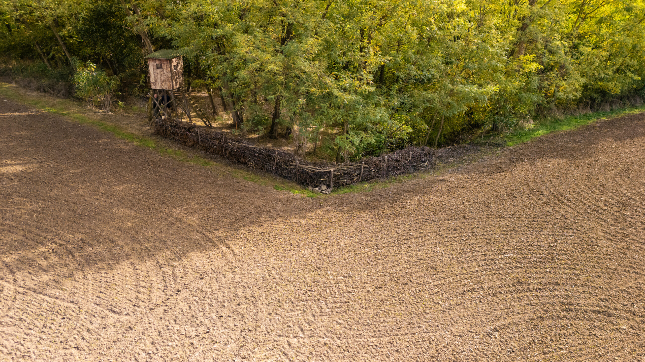 DJI 20251014135917 0239 D DJI 20251014135917 0239 D