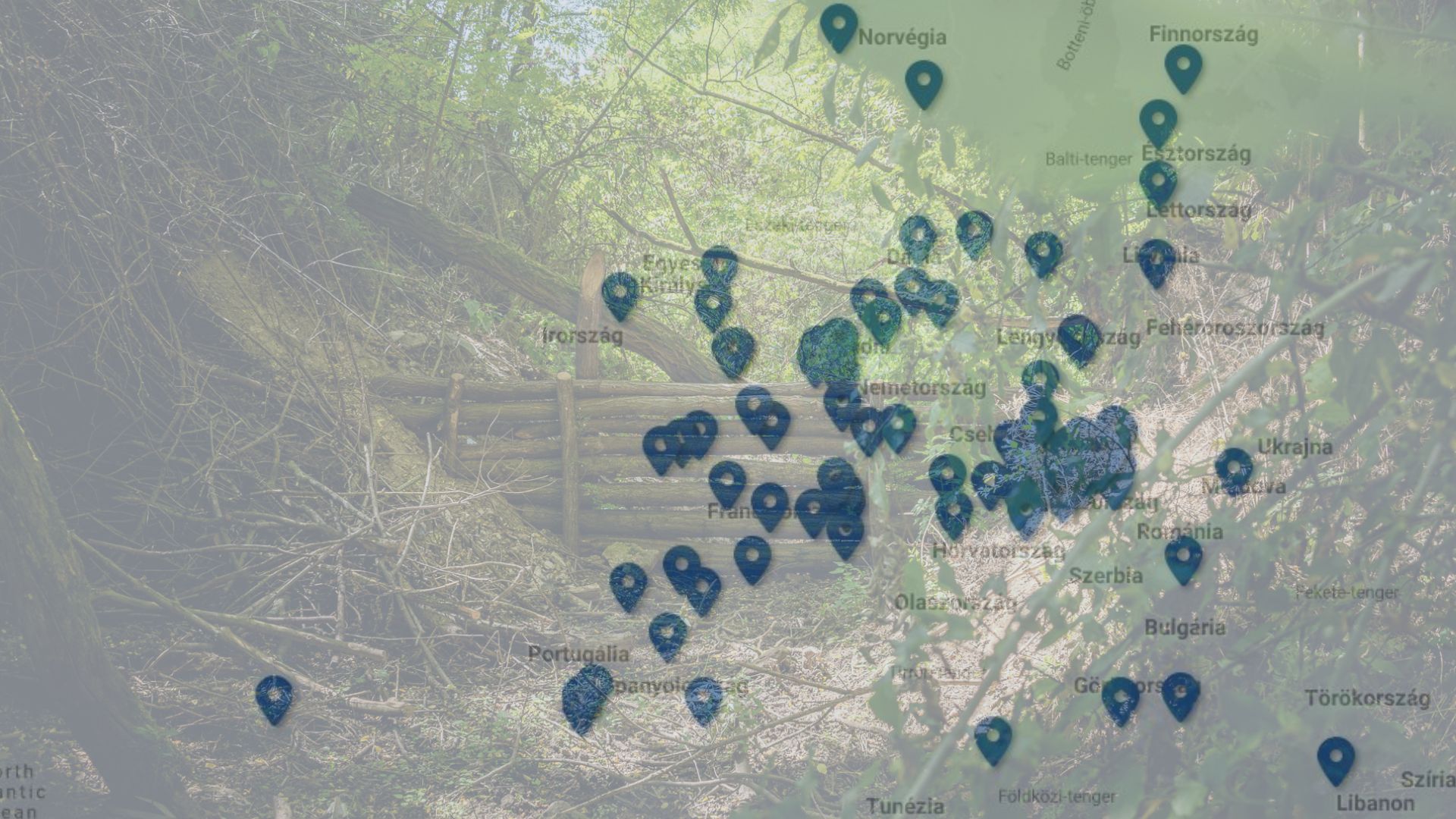 Green and White Modern Simple Agriculture Presentationéé